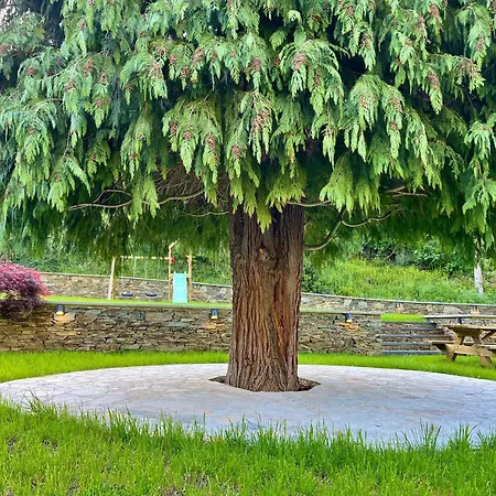 Fuentes Del Narcea Rurales Apartment *